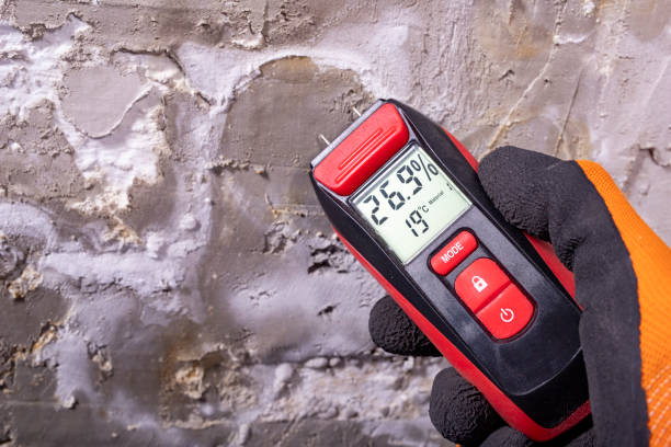 Crawl Space Mold Removal in Twisp, WA