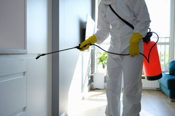 Certified Mold Removal in Twisp, WA