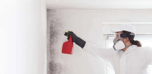 Best Mold Cleaning Services  in Twisp, WA